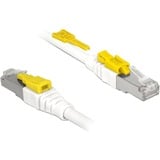 DeLOCK Câble de raccordement RJ-45 sécurisé avec Cat.6a Blanc, 85335, 5 mètres