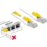 DeLOCK Câble de raccordement RJ-45 sécurisé avec Cat.6a Blanc, 85335, 5 mètres
