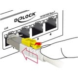 DeLOCK Câble de raccordement RJ-45 sécurisé avec Cat.6a Blanc, 85335, 5 mètres