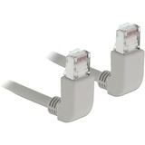 DeLOCK Câble de raccordement S/FTP, RJ-45 Cat.6a Gris, 1 mètre