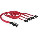 Cable mini SAS 36pin to 4x SATA câble SCSI Rouge 0,5 m, Adaptateur
