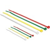 DeLOCK Jeu de serre-câbles 100x2,5 et 100x3,5 Coloré, 200 pièces