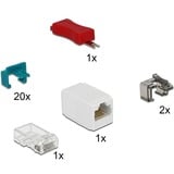 DeLOCK RJ45 Secure Clips Starter Set, Support Turquoise, 20 pièces