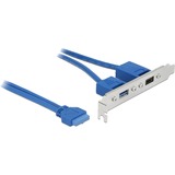DeLOCK Slot bracket 19-Pin USB 3.1 > USB-C + USB-A, Câble Bleu, 0,3 mètres
