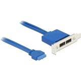 DeLOCK Slot bracket 1x 19-Pin USB 3.1 pin header female intern > 2 x USB-C female extern Low Profile, Câble Bleu, 0,3 mètres