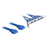 DeLOCK Support de slot 2x 19Pin vers 4x USB3.0 (externe), Connecteur d'extension 
