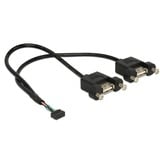 DeLOCK USB 2.0 10-Pin > 2 x USB-A 2.0 female panel-mount, Câble Noir, 0,25 mètres