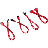 Corsair CC-8900246 câble d'alimentation interne 0,3 m, Câble d'extension Rouge, 0,3 m, Mâle, Mâle, Droit, Droit, Noir, Rouge