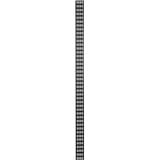 DSI Chemin de câbles vertical 42U - DS-CABLETRAY-42U, Chaîne câblée Noir