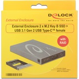 DeLOCK Boîtier externe 2 x M.2 touche B SSD > USB 3.1 Gen 2 USB-C, Boîtier disque dur Gris