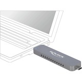 DeLOCK Boitier externe pour SSD M.2 NVME PCIe avec USB-C et USB-A, Boîtier disque dur Argent
