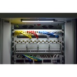 Digitus Eclairage LED de l'armoire 19"., Bande de LED Blanc/gris