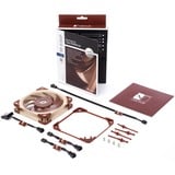 Noctua NF-A12x25 FLX ventilateur de boîtier 120 x 120 x 25 mm