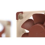 Noctua NF-A4x10 5V PWM, Ventilateur de boîtier Ventilateur, 4 cm, 1000 tr/min, 5000 tr/min, 19,6 dB, 8,9 m³/h