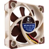 Noctua NF-A4x10 FLX, Ventilateur de boîtier Marron/Blanc