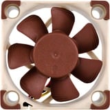 Noctua NF-A4x10 FLX, Ventilateur de boîtier Marron/Blanc