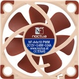 Noctua NF-A4x10 PWM, Ventilateur de boîtier 