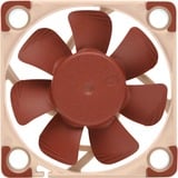 Noctua NF-A4x10 PWM, Ventilateur de boîtier 