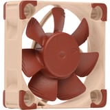 Noctua NF-A4x10 PWM ventilateur de boîtier 40 x 40 x 10 mm