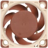 Noctua NF-A4x20 FLX ventilateur de boîtier 40 x 40 x 20 mm