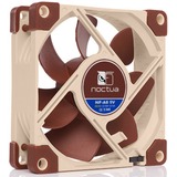 Noctua NF-A8 5V, Ventilateur de boîtier 