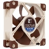 Noctua NF-A8 PWM, Ventilateur de boîtier Connexion PWM à 4 broches