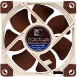 Noctua NF-A8 PWM ventilateur de boîtier 80 x 80 x 25 mm