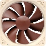 Noctua NF-P12 PWM ventilateur de boîtier Marron, 120 x 120 x 25 mm
