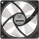 Scythe Kaze Flex RGB PWM 2300 ventilateur de boîtier Noir, 92 x 92 x 26 mm