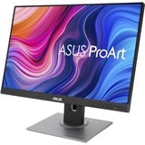 ASUS ProArt Display PA248QV 24" Moniteur  Noir/Argent, HDMI, DisplayPort, VGA, 4x USB-A 3.2 (5 Gbit/s)