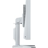 EIZO FlexScan S1934 19" Moniteur  Gris, DisplayPort, VGA, DVI-D