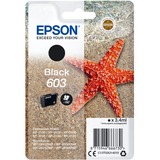 Epson Encre noire 603 en paquet unique C13T03U14010, "Étoile de mer