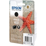 Epson Encre noire 603 en paquet unique C13T03U14010, "Étoile de mer