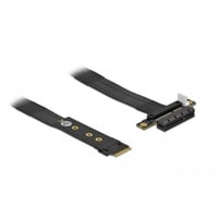 DeLOCK M.2 Key M > PCIe x4 NVMe, Adaptateur Noir, 0,2 mètres