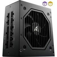 Sharkoon Rebel P20 alimentation modulaire 750 watt Noir, 1x 12V-2x6, 4x PCIe