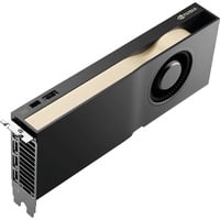 NVIDIA® RTX PRO 4500 Blackwell, Carte graphique 4x DisplayPort