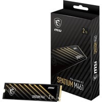 MSI SPATIUM M461 2 To SSD Noir/Or