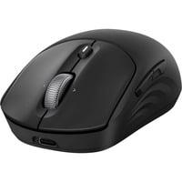 HP 700 rechargeable wireless, Souris Noir