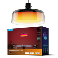 Govee Pendant Light, Lampe Noir