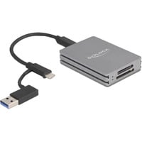 DeLOCK USB-C SD et CFexpress, Lecteur de carte Gris