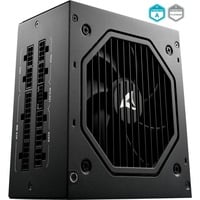 Sharkoon Rebel P20 alimentation  modulaire 1000 watt Noir, 1x 12VHPWR, 4x PCIe