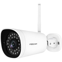 Foscam G4P-W, Caméra de surveillance Blanc