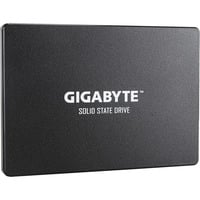 GIGABYTE 256 Go SSD GP-GSTFS31256GTND, SATA 600