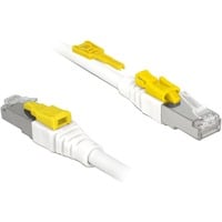 DeLOCK Câble de raccordement RJ-45 sécurisé avec Cat.6a Blanc, 85335, 5 mètres