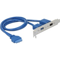 DeLOCK Slot bracket 19-Pin USB 3.1 > USB-C + USB-A, Câble Bleu, 0,3 mètres