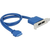 DeLOCK Slot bracket 1x 19-Pin USB 3.1 pin header female intern > 2 x USB-C female extern Low Profile, Câble Bleu, 0,3 mètres