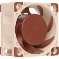 Noctua NF-A4x20 PWM, Ventilateur de boîtier Connexion PWM à 4 broches