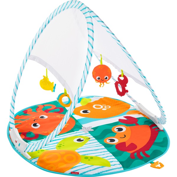 Fisher Price Fxc15 Gymnase Et Tapis D Eveil Pour Bebe Multicolore Tapis De Jeux Pour Bebe