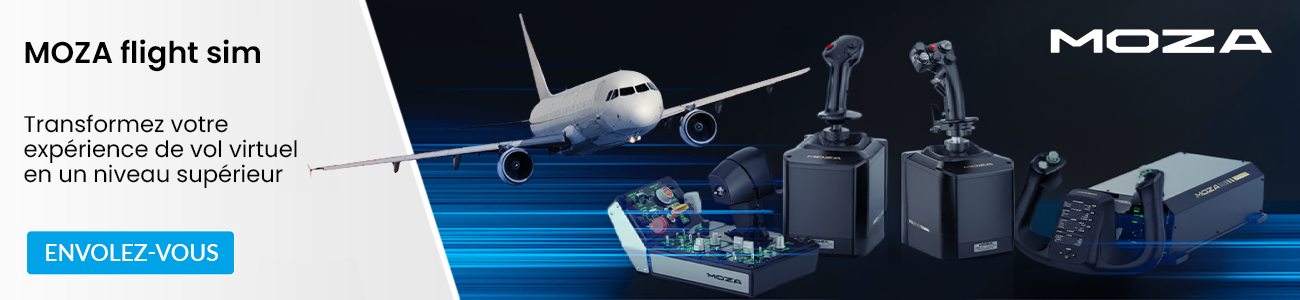 MOZA flight sim