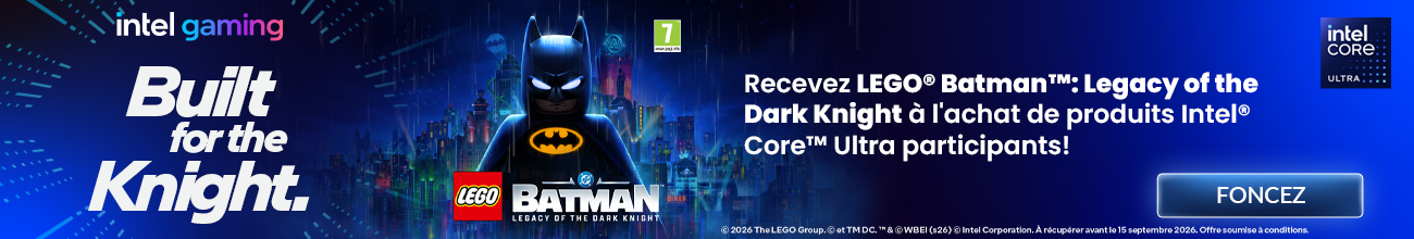 Bundle Intel spring Batman